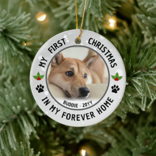 Ornamento De Cerâmica Fotos de Cachorro Filhotes Gato Pet Primeiro Natal