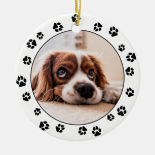 Ornamento De Cerâmica Fotos Fotográficas Puppy