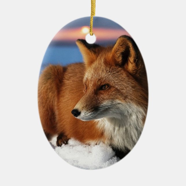 Ornamento De Cerâmica Fox (Frente)
