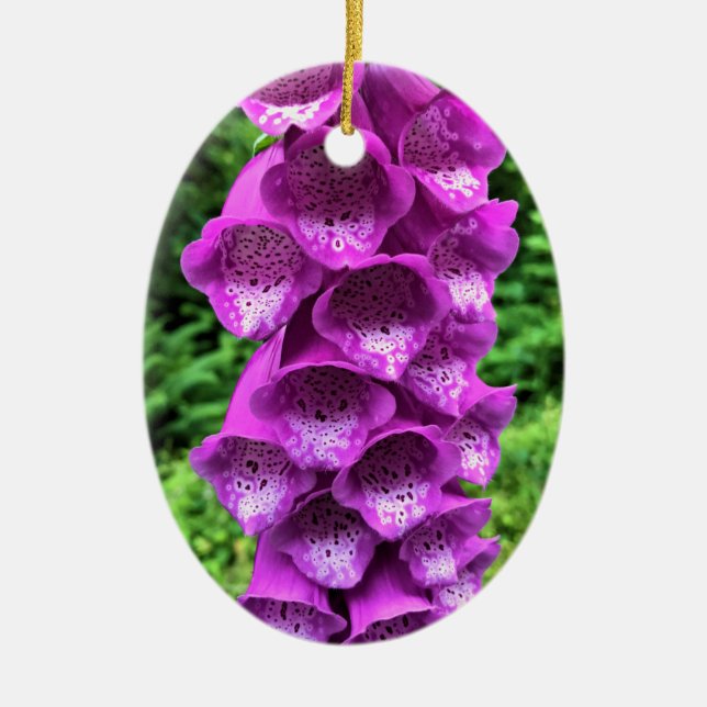 Ornamento De Cerâmica Foxglove Flowers, Oregon (Frente)