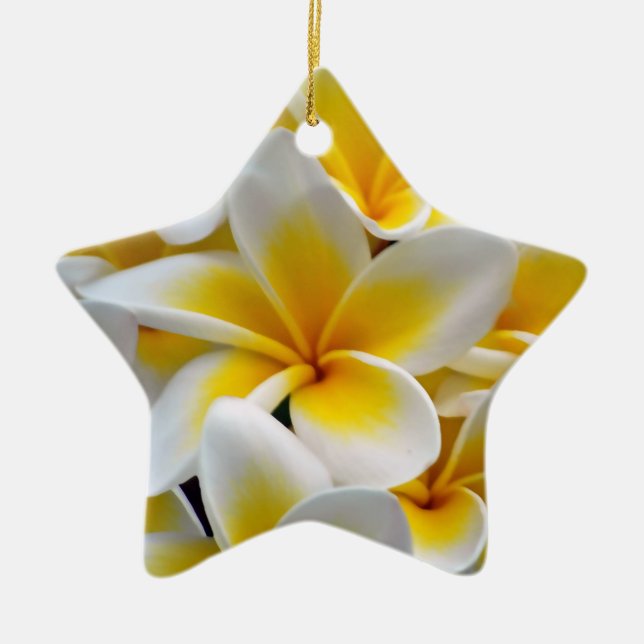 Ornamento De Cerâmica Frangipani Plumeria Flower Photo (Frente)