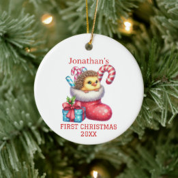 Ornamento De Cerâmica Frango Fofo com Pelo de Ouriço Natal