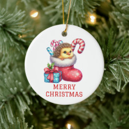 Ornamento De Cerâmica Frango Fofo com Pelo de Ouriço Natal