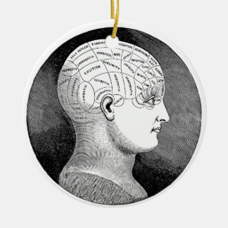 Ornamento De Cerâmica Frenologia