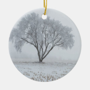 Ornamento De Cerâmica Frost sobre uma árvore Solitário