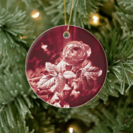 Ornamento De Cerâmica Fruity Parfuma Rosa - Ornament cerâmico