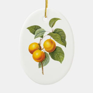 Ornamento De Cerâmica Fruta de Comida de safra, Pêssego de damasco por m