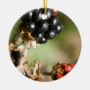 Ornamento De Cerâmica Frutas do Outono