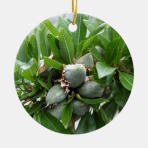 Ornamento De Cerâmica Frutas verdes de uma árvore de amêndoa