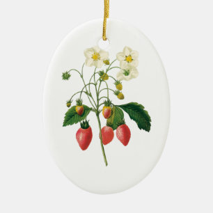 Ornamento De Cerâmica Frutas Vermelhas de Frutas Antigas por Redoute