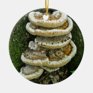 Ornamento De Cerâmica Fungos de prateleira no coto