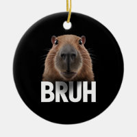 Funny Capybara Bruh