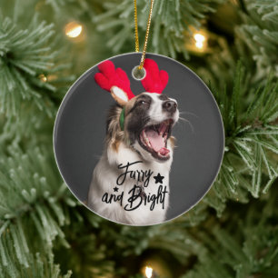 Ornamento De Cerâmica Furry e Bright Dog ou Cat Photo Personalizado