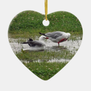 Ornamento De Cerâmica Gaivotas tomando banho