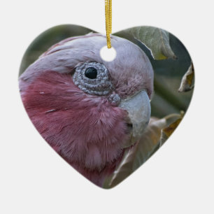 Ornamento De Cerâmica Galah ou Cacatua de Peito Rosado