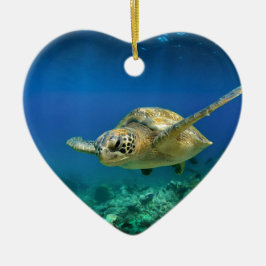Ornamento De Cerâmica Galápagos paraíso tartaruga marinha verde submarin