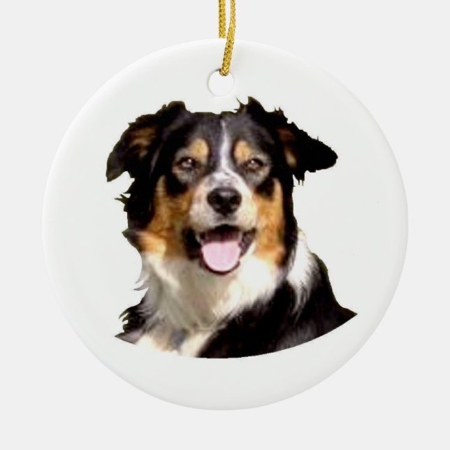 Ornamento De Cerâmica Galês border collie (Frente)