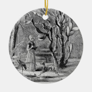 Ornamento De Cerâmica Galgo no jardim 1872 - América pitoresca