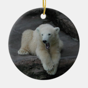 Ornamento De Cerâmica Galinha-do-urso-polar