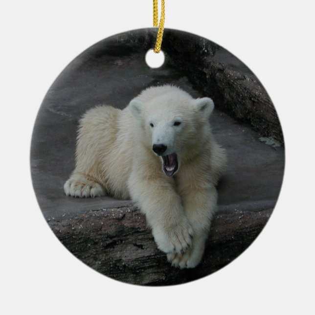 Ornamento De Cerâmica Galinha-do-urso-polar (Frente)