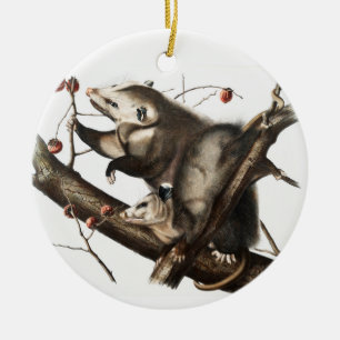 Ornamento De Cerâmica Gambá Virginiano Ilustração Didelphis Virginia
