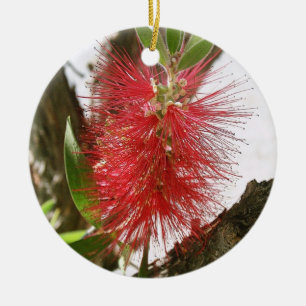 Ornamento De Cerâmica Garrafa-Escova Callistemon 8