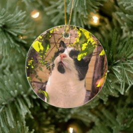 Ornamento De Cerâmica Gatinho