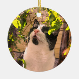 Ornamento De Cerâmica Gatinho