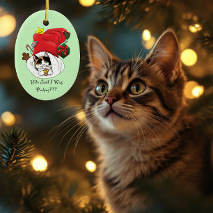 Ornamento De Cerâmica Gatinho Alegre de Natal Calico Vermelho Feriados