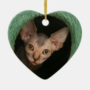 Ornamento De Cerâmica Gatinho bonito do sphynx