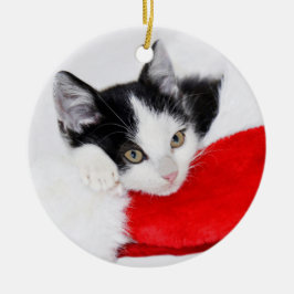 Ornamento De Cerâmica Gatinho bonito no chapéu do papai noel