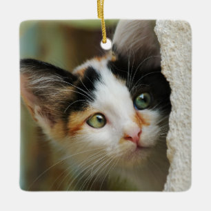 Ornamento De Cerâmica Gatinho Curioso Curioso com Olhos de Rezação -
