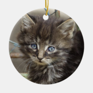 Ornamento De Cerâmica Gatinho Gato-De-Gato-De-Gato-Gato