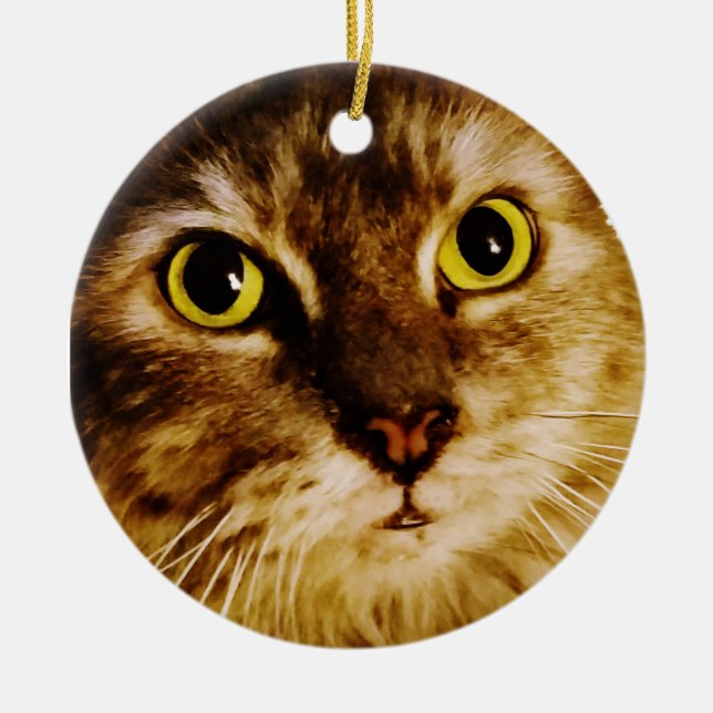 ORNAMENTO DE CERÂMICA GATINHO ROSTO DOCE (Frente)