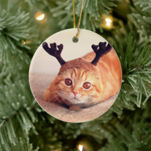 Ornamento De Cerâmica gatinho vestindo chapéu de rena de Natal