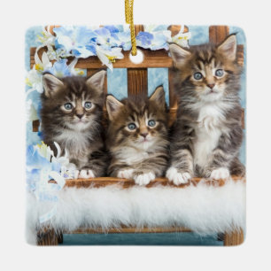 Ornamento De Cerâmica gatinhos bonitos preciosos