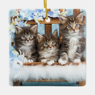 Ornamento De Cerâmica gatinhos bonitos preciosos