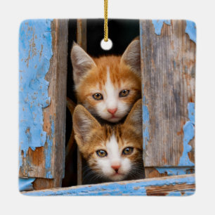 Ornamento De Cerâmica Gatinhos Gatos Gelados em uma Foto da Janela de Vi