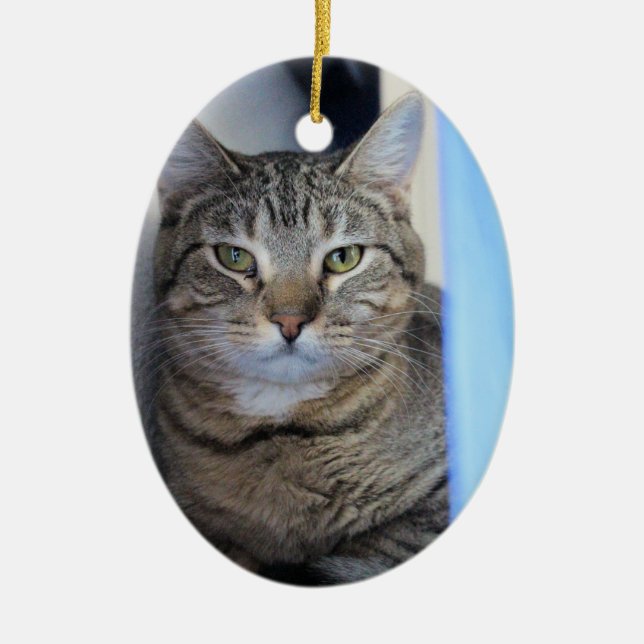 Ornamento De Cerâmica Gato (Frente)