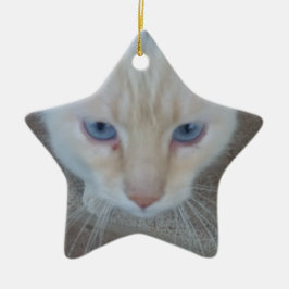 Ornamento De Cerâmica Gato