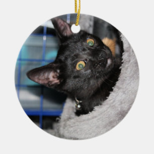 Ornamento De Cerâmica Gato
