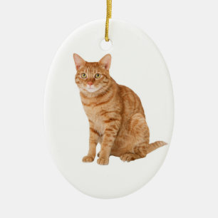 Ornamento De Cerâmica Gato alaranjado