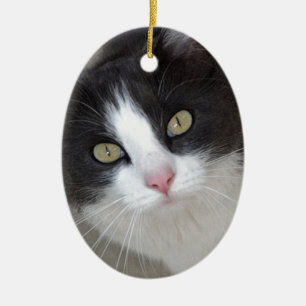Ornamento De Cerâmica Gato cinzento e branco bonito