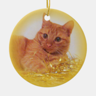 Ornamento De Cerâmica Gato da faísca