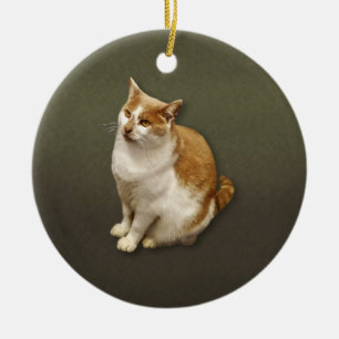 Ornamento De Cerâmica Gato de Cabelo Curto Laranja e Branco