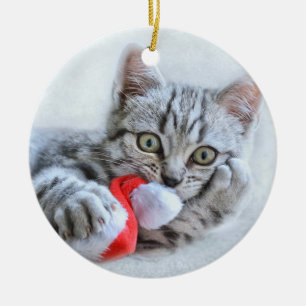 Ornamento De Cerâmica Gato de gato malhado cinzento bonito com Xmas do