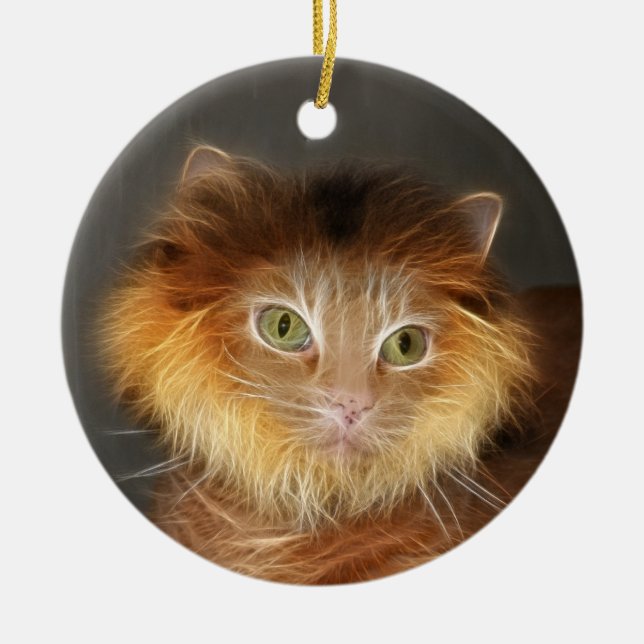 Ornamento De Cerâmica Gato de leão (Frente)