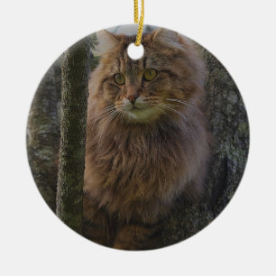 Ornamento De Cerâmica Gato de Maine Coon - Gato de Árvore