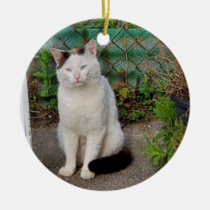 Ornamento De Cerâmica Gato de mesa branco