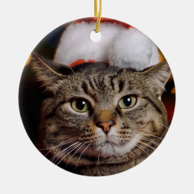 Ornamento De Cerâmica Gato de Natal (Frente)